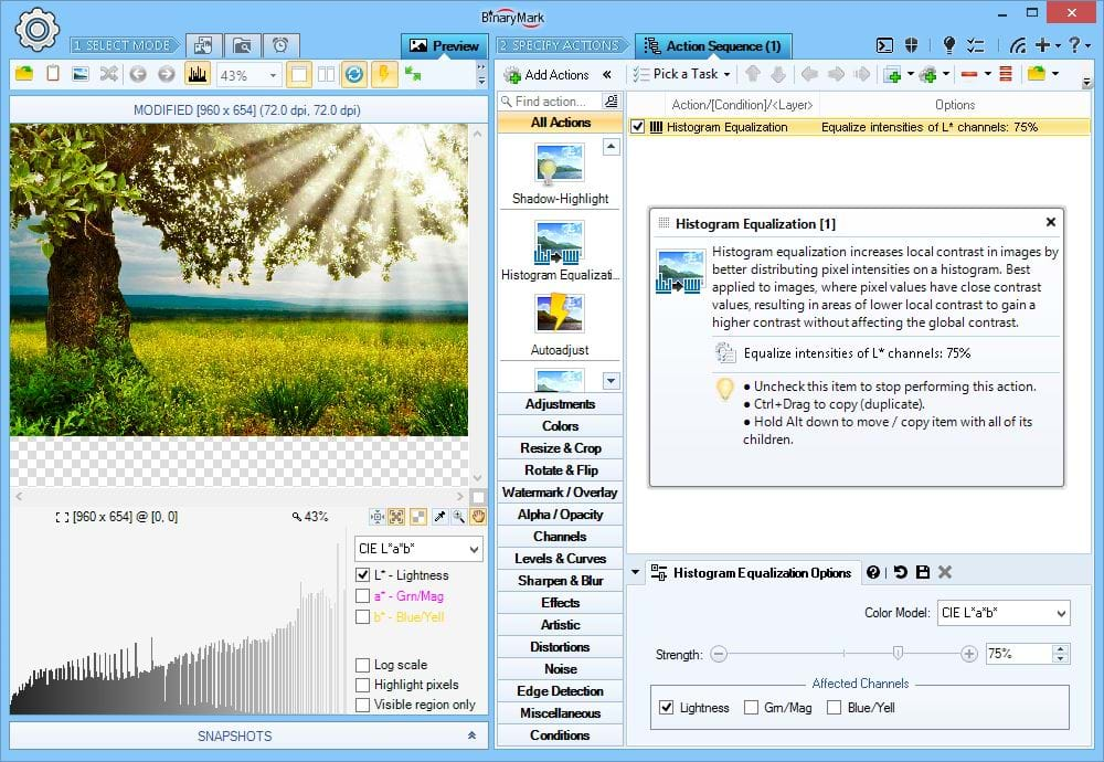 Histogram Equalization