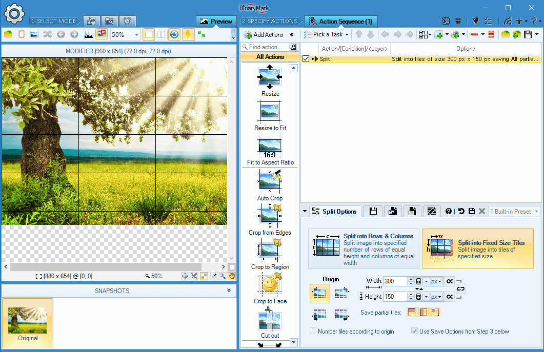Split Images into Fixed-Size Tiles